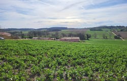 PUYCASQUIER, Occitanie 32120