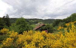 Le Thillot, Lorraine 88160