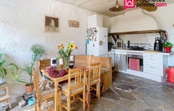 Causse-de-la-Selle, Languedoc-Roussillon 34380