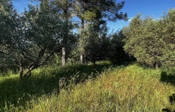 Calvisson, Gard 30420