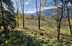 Foix, Midi-Pyrénées 09000