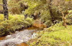 Guerledan, Brittany 22530