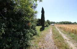 Montans, Tarn 81600