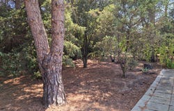 Langlade, Languedoc-Roussillon 30980