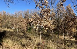 Quinson, Alpes-de-Haute-Provence 04500