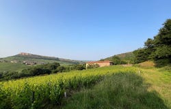 Solutré-Pouilly, Burgundy 71960