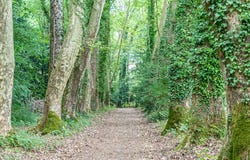 Langeais, Centre-Val de Loire 37130