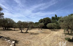 Varages, Var 83670