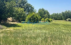 Massanes, Languedoc-Roussillon 30350