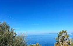 Canari, Corsica 20217