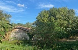 La Romieu, Midi-Pyrénées 32480