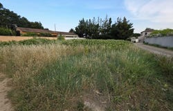 Saint-Quentin-la-Poterie, Gard 30700