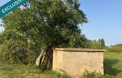 Pezenas, Languedoc-Roussillon 34120