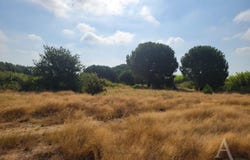 LATOUR BAS ELNE, Occitanie 66200