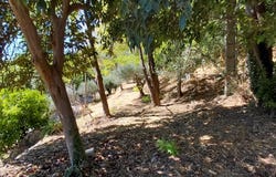 Bargemon, Provence-Alpes-Côte-d'Azur 83830