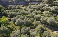 Alès, Occitanie 30100