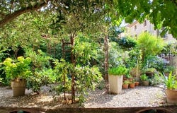 Pouzolles, Languedoc-Roussillon 34480