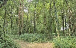 Sully-sur-Loire, Centre-Val de Loire 45600