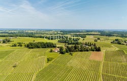 Castillon-la-Bataille, Aquitaine 33350