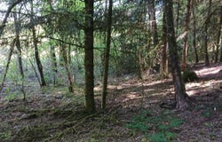 Montessaux, Franche-Comté 70270
