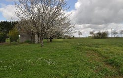 Asnieres-La-Giraud, Poitou-Charentes 17400