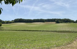 Laprade, Poitou-Charentes 16390