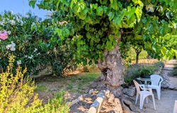 Caveirac, Languedoc-Roussillon 30820
