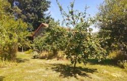 Sarrazac, Aquitaine 24800