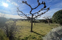Saint-Hilaire-de-Brethmas, Gard 30560