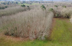 La Force, Dordogne 24130