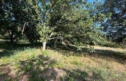 ALAIRAC, Occitanie 11290