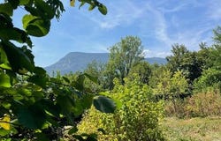 Ruffieux, Rhône-Alpes 73310