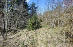 Meyrueis, Lozère 48150