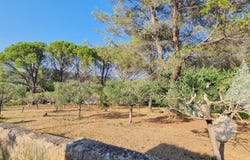 Salernes, Provence-Alpes-Côte d'Azur 83690
