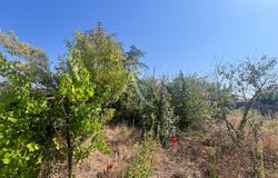 CHALLANS, Pays de la Loire 85300