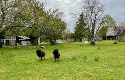 Villebramar, Aquitaine 47380