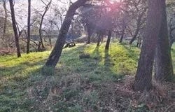 241 Route de Lévignac, Pibrac, Haute-Garonne 31820