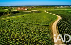 Vougeot, Bourgogne-Franche-Comté 21640