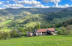 SAINT DIE DES VOSGES, Grand Est 88100