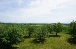 Beaumotte-Les-Pin, Franche-Comté 70150