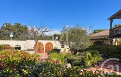 Monticello, Corsica 20220