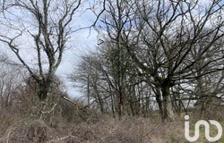 Dunet, Centre-Val de Loire 36310