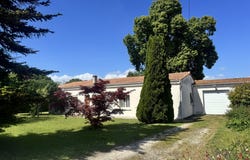Cozes, Poitou-Charentes 17120