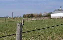 Douchy-Montcorbon, Centre-Val de Loire 45220
