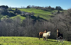 Maurs, Auvergne 15600