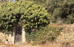 Sarzeau, Brittany 56370