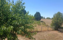 Brettes, Poitou-Charentes 16240