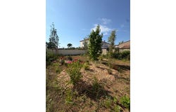 Frontignan, Languedoc-Roussillon 34110