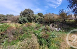 Montegrosso, Corsica 20214