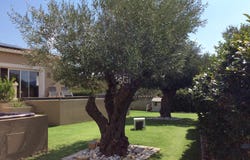 Vivès, Pyrénées-Orientales 66490
